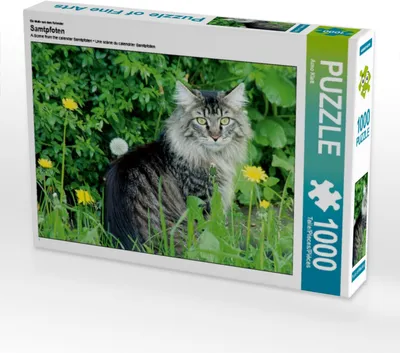 Produktbild von Calvendo Ein Motiv aus dem Kalender Samtpfoten 1000 Teile Puzzle quer 640x480mm, Klatt Arno; 7292474