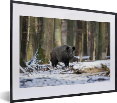 Produktbild von MuchoWow® MuchoWow® Gerahmtes Poster Wildschwein - Schnee - Tier 40x30 cm - Poster mit zchwarzem Bilderrahmen - Bilderrahmen - Poster im Rahmen