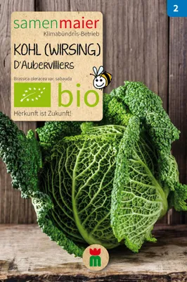 Produktbild von Kohl - Wirsing D Aubervilliers - Saatgut für zirka 25 Pflanzen