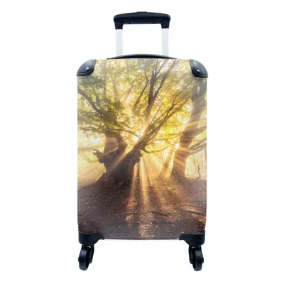 Produktbild von MuchoWow® Koffer Handgepäck Trolley Rollkoffer Kleine Reisekoffer mit 4 Rollen - Baum - Wald - Sonne - Cabin Size < 55x40x23 cm & 55x40x20 cm - Fotokoffer - Kabinenkoffer - Boardgepäck - Reise-Box - Reisekoffer - Reisegepäck - Koffer mit Bild - Trolley für Kinder