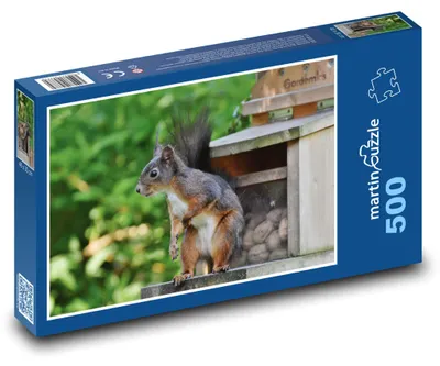 Obrázok produktu pre Puzzle 500 Veverica pri krmítku - martinpuzzle