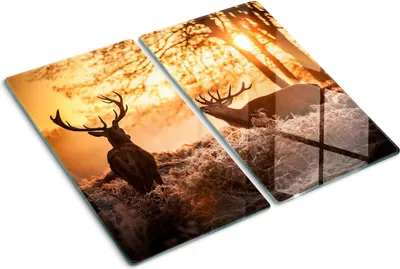 Obrázok produktu pre Sklenená ochranná doska – Kryt varnej dosky – Kryt na indukčnú dosku – 2x30x52 cm – Rýchle čistenie – Tvrdené sklo – Východ slnka nad jeleňom