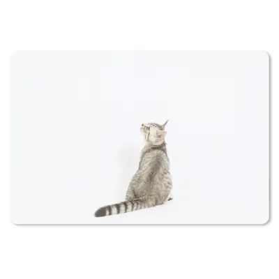 Produktbild von MuchoWow® Mauspad Mousepad Katze - Haustiere - Fell 27x18 cm - Mousepads - Maus Mat - Pad - Mausunterlage - Büroartikel - Desk Matten
