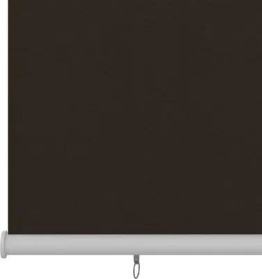 Image de vidaXL Store extérieur 400x140 cm brun HDPE