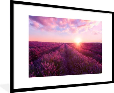 Produktbild von MuchoWow® Gerahmtes Poster Lavendel - Blumen - Frankreich 90x60 cm - Poster mit Schwarzem Bilderrahmen Wandposter Rahmen Foto Bilder - Wanddekoration - Fotos