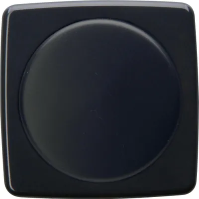 Zdjęcie produktu dla Abd.DW Dimmer RIVO ant