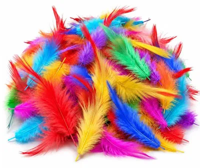 200 bunte Dekofedern, 13–18 cm, mit roter Spitze