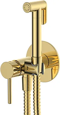 Immagine prodotto di Set da incasso per bidet, con doccetta, maniglia per doccia bidet, dorata, accessori per bidet Y