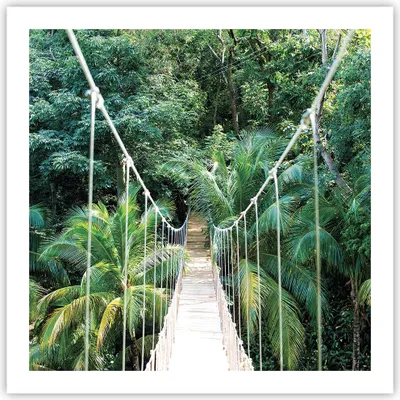 Produktbild von Poster - Poster ohne Rahmen - Tropen Dschungel Brücke - 60x60 cm - Wand Bild - Wanddeko - Wandbilder - Kunstposter - Wandposter - Bilder - Kunstdruck - Wanddekoration - Wandbild - P2XAC60x60-4963