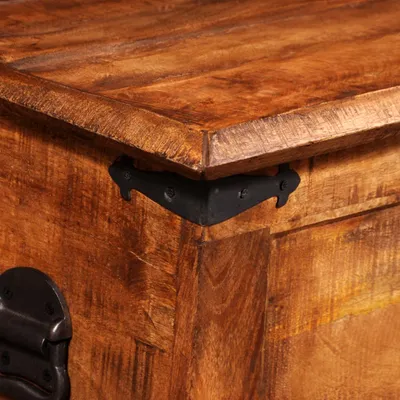 Immagine prodotto di vidaXL Cassapanca Legno di mango grezzo