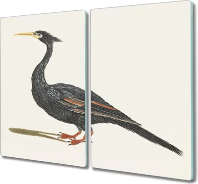 Produktbild von Coloray Küchenbrett Kochplattenabdeckung Hackbrett Schneidebrett Herdabdeckplatte 2x30x52 cm - Tier Vogel