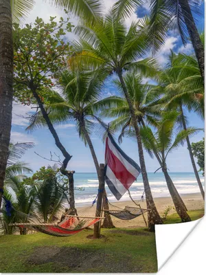 Produktbild von MuchoWow® Poster Flagge von Costa Rica zwischen den Bäumen des Corcovado-Nationalparks 60x80 cm - Schlafzimmer Dekoration