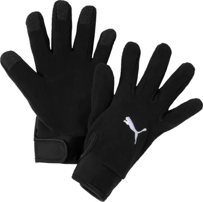 Produktbild von Puma Teamliga 21 Winterhandschuhe Schwarz