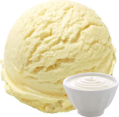 A scoop of vanilla ice cream next to a small bowl of yogurt.