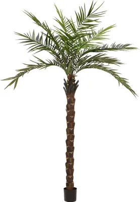 Produktbild von artplants.de Kunst Kentia Palme Marcos, 300cm - Kunststoff Palme