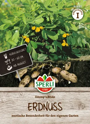 Produktbild von SPERLI Erdnusssamen Jimmys Pride Arachis hypogaea 5 Pflanzen