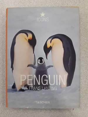 Image de Penguin