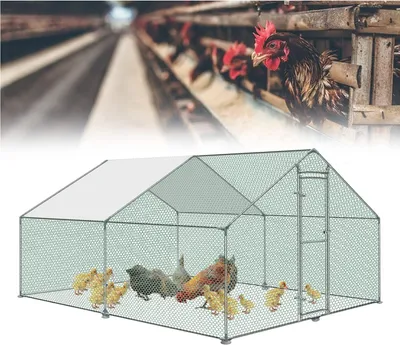 Obrázok produktu pre Kippenhok – Chlievnica pre drobné zvieratá – Kuriak – Chovná stanica pre hydinu – Kuriak – Rozmery: 3 x 2 x 2 metre – Pozinkovaná oceľ