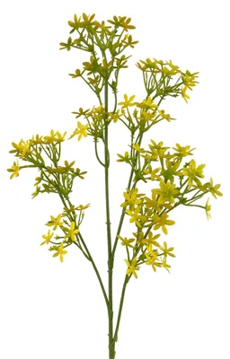 Produktbild von Kunstblumen STERNBLÜTENZWEIG ca. 68cm. GELB