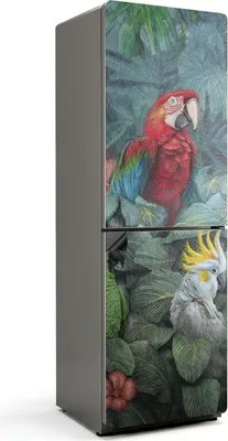 Produktbild von Tropische Vögel im Dschungel – Magnetische Kühlschrank Abdeckung – Dekorfolie magnetisch Küche – Kühlschrank Magnet Deko – selbstklebende Magnettafel – Magnetfolie für Kühlschranktür – 60x180 cm