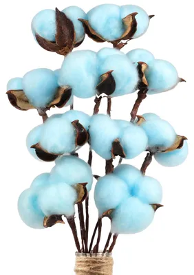 Getrocknete Baumwollblumen, 10 Stück, blau, 39 cm, für Dekoration