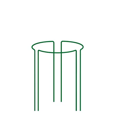 Produktbild von Staudenhalter Pflanzenstütze 3-teilige Grün 60 cm