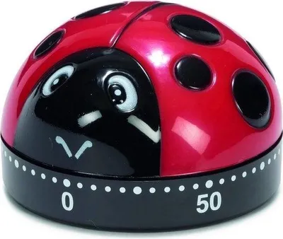 Immagine prodotto di timer da cucina coccinella 6,3 cm rosso/nero