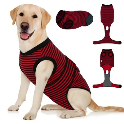 Produktbild von Wundschutzanzug für Hunde, der das Lecken verhindert