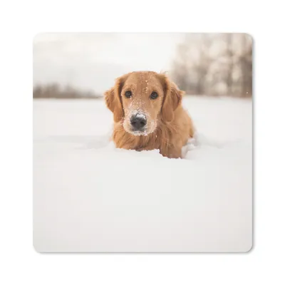Produktbild von MuchoWow® Mauspad Mousepad Hund - Schnee - Winter 30x30 cm - Mousepads - Maus Mat - Pad - Mausunterlage - Gaming