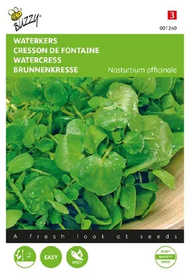 Produktbild von Buzzy Seeds Brunnenkresse Kräutersamen - 1 Saatgutbeutel