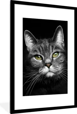 Produktbild von MuchoWow® Gerahmtes Poster Haustiere - Katze - Tiere - Schwarz - Weiß 60x90 cm - Poster mit Schwarzem Bilderrahmen Wandposter Rahmen Foto Bilder - Dekoration - Wandposter Wohnzimmer - Hochwertig