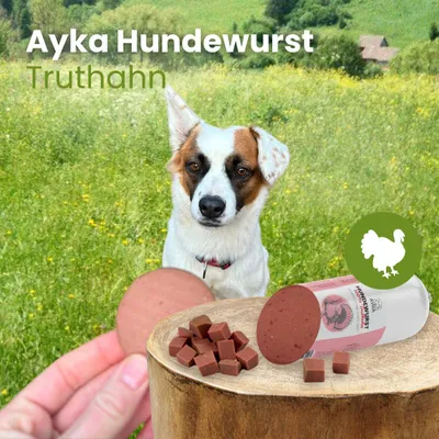 Produktbild von Ayka Hundewurst Truthahn 1 Stück 80g