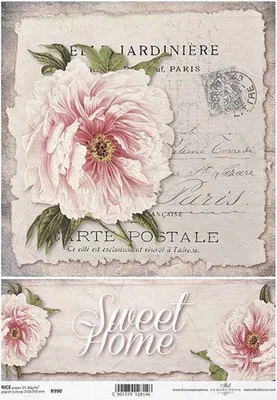 Produktbild von ITD Reispapier Decoupage Bastelpapier Serviettentechnik-R990 Pfingstrose