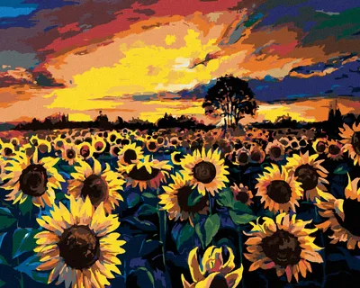 Produktbild von Zuty - Malen nach Zahlen - FELD VOLLER SONNENBLUMEN, 40x50 cm, ohne Keilrahmen