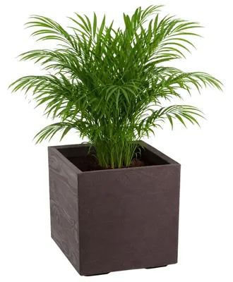 Immagine prodotto di HowHomely | Vaso da fiori - Vaso - marrone - 40 x 40 x 40 cm - Copri-vaso su ruote - Pratico