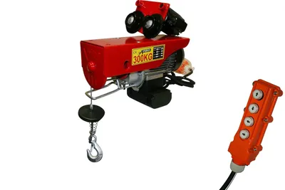 Immagine prodotto di Varan Motors - var-PA300C AVVOLGITORE ELETTRICO MOBILE A CAVO 300KG 600W INCLUSO COMANDO REMOTO