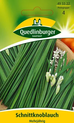 Produktbild von Quedlinburger Saatgut - Schnittknoblauch Mehrjährig - Samen - 495522