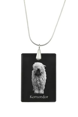 Image de Komondor - Pendentif en cristal avec chien, collier en argent avec photo, pendentif personnalisé de la marque Art-Dog