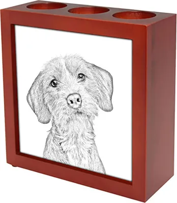 Productafbeelding van Art-Dog Pennenhouder – Basset Fauve de Bretagne