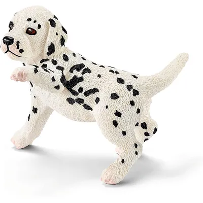 Produktbild von SCHLEICH Dalmatiner Welpe 0 0 0
