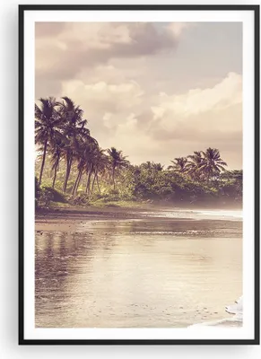 Produktbild von Gerahmtes Poster - Schwarzer Rahmen - Palmen Strand Wasser - 70x100 cm - Wand Bild - Wanddeko - Wandbilder - Kunstposter - Wandposter - Bilderrahmen - Bilder - Kunstdruck - P2BPA70x100-4917