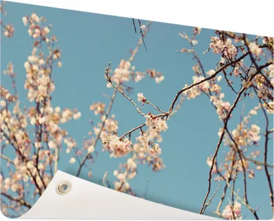 Produktbild von Gartenposter - 120x80 cm - Blüte  - Modernes Wandbilder - Natur