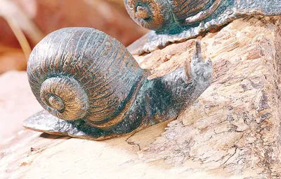 Produktbild von Bronzefigur Schnecke gerade 7cm lang Rottenecker Bronze Skulptur Dekoration