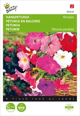 Produktbild von Petunie Pendula Balkonmischung | Petuniensamen von Buzzy Seeds