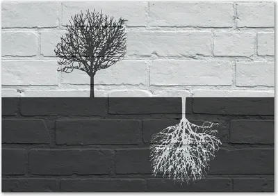Produktbild von Tulup® Glas-Bild - 100 x 70 - Wandbild aus Glas - Wandkunst - Wandbild hinter gehärtetem Sicherheitsglas - Kunst: modern & klassisch - Bäume an der Wand - Grau