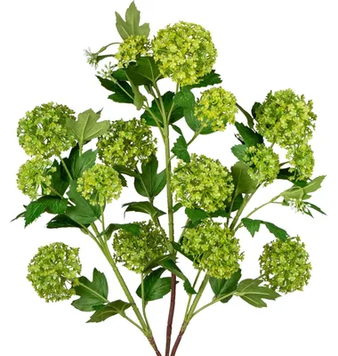 Immagine prodotto di Set di 3 fiori artificiali di Viburnum per decorazione