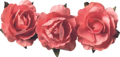 Produktbild von 6XKNORR prandell 217611008 Papierblume lachs