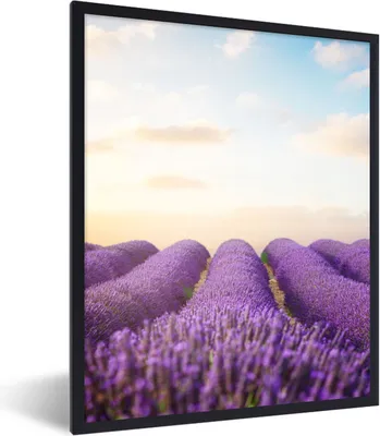 Produktbild von MuchoWow® Gerahmtes Poster Lavendel - Himmel - Wolken - Blumen 60x80 cm - Poster mit Schwarzem Bilderrahmen Wandposter Rahmen Foto Bilder - Premium - Wanddeko Wohnzimmer
