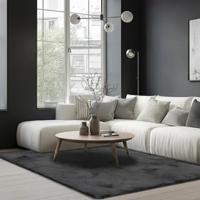 Tapis PASSUA Dave, noir