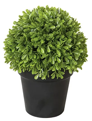 Produktbild von FINK Kunstpflanze BUCHSKUGEL - künstlicher Buchsbaum im Topf, Kunststoff, grün, H 23 cm, Ø 18 cm - Fensterbank Deko